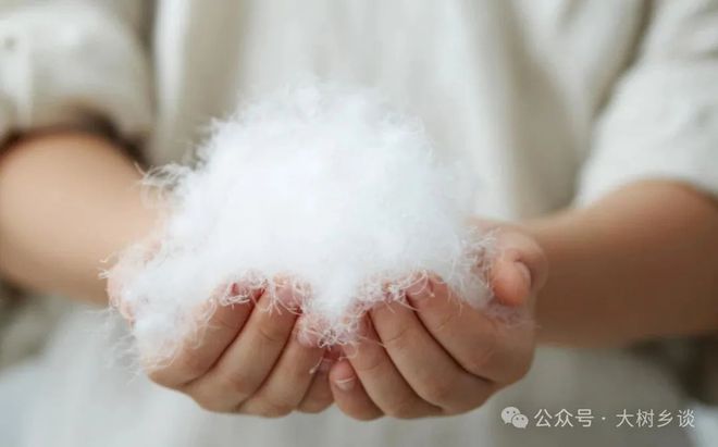 烤鸭是美国无法翻越的高山pg电子入口一只十几元的(图6)