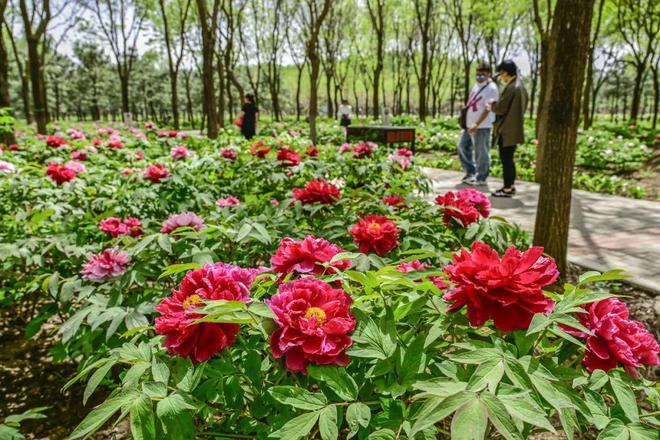 2：三大+书市+特色小镇打卡文旅新地标pg电子游戏网站120小时玩转副中心-(图6)