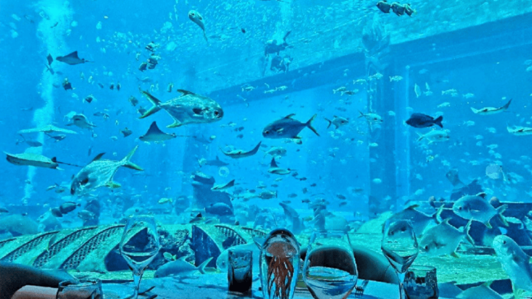 道：72个情绪价值营造标杆案例pg电子首页旅游餐饮场景破局之(图54)