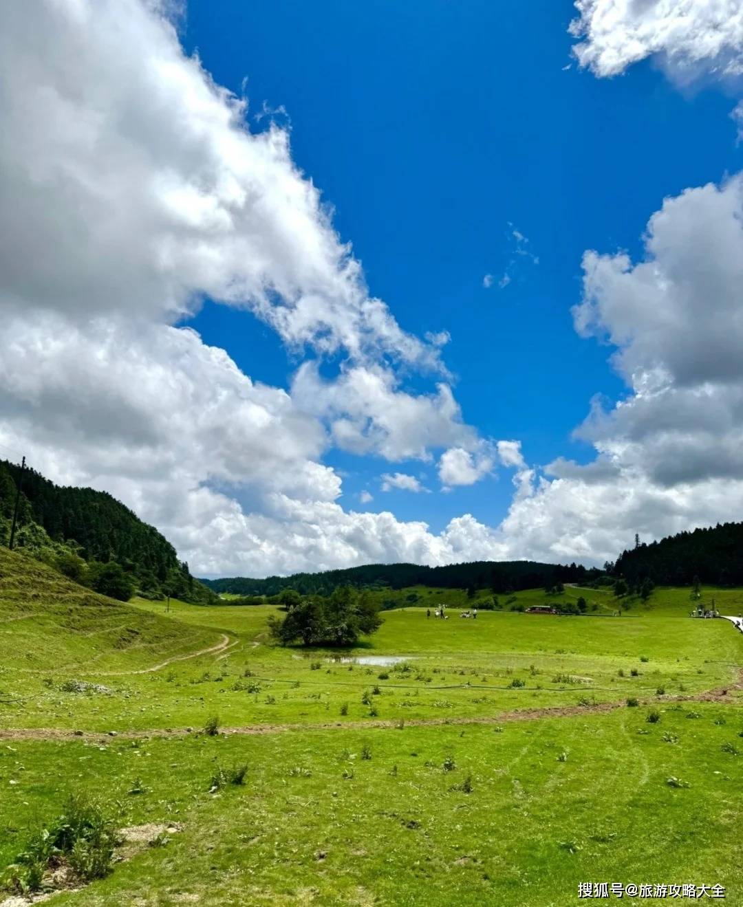 程怎么规划？重庆动物园游玩4天景点pg电子网站去重庆旅游4天纯玩团行(图3)