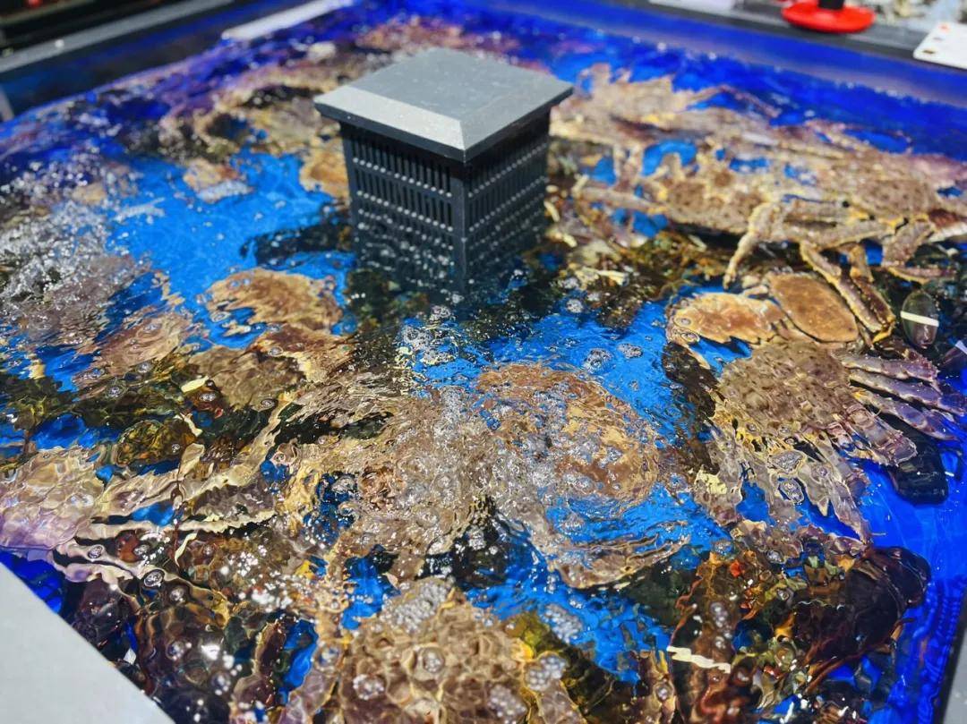 ！永辉超市盐城大有境店焕新开业pg电子免费模拟器双店联动盐南(图14)